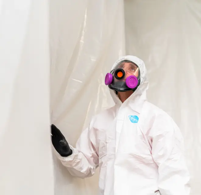 Rainbow Restoration professionals cleaning mold.