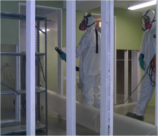 Mold Remediation