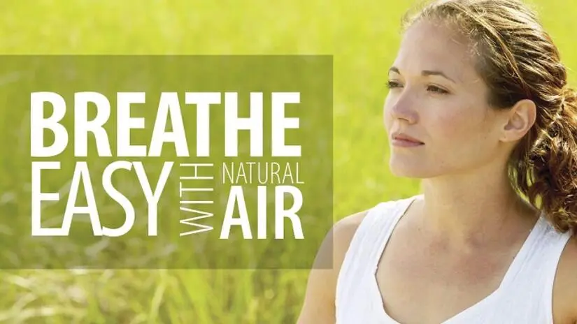 5 Natural Air Fresheners That Eliminate Household Odors