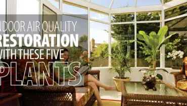 Air Quality Restoration.