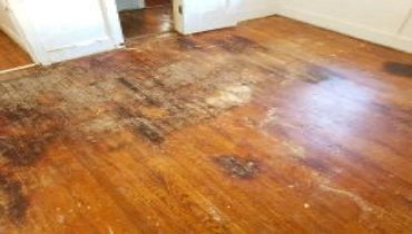 A wooden floor with large, dark stains and visible wear, situated in an empty room with white walls and open doors.
