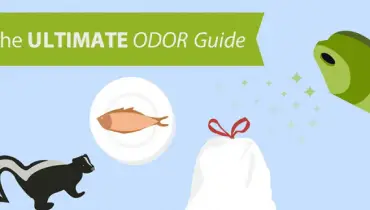 Illustration of pungent aromas