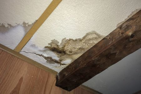 A water-damaged ceiling with visible staining, cracks, and mold growth. Wooden beams and paneling frame the area, highlighting structural deterioration likely caused by a leak or prolonged moisture exposure.