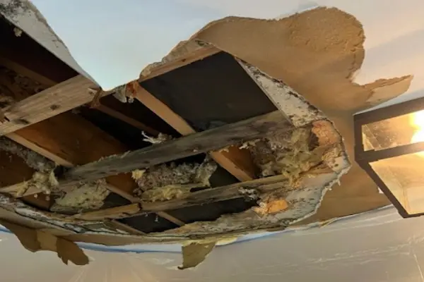 A severely damaged ceiling with a large section collapsed, exposing wooden beams, insulation, and mold-stained materials. Water damage has caused the drywall to deteriorate, with pieces hanging down near a light fixture.
