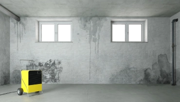 Fastest Way Dry Home Water Damage