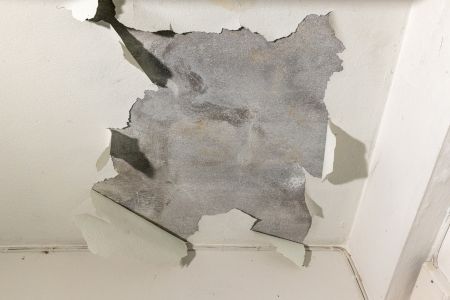 Peeling paint and water-damaged ceiling in a residential home, showing significant moisture exposure and deterioration, likely caused by a leak or flooding.