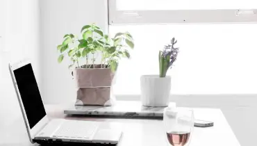 Poor workplace indoor air quality can cause major health problems. Here are a few things you can do to promote and protect the air in your workspace.