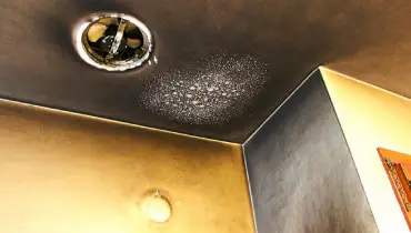 We understand the importance of balancing claim / loss ratios, insurance losses and claim severity. Learn why Rainbow Restoration is everyone's first choice.