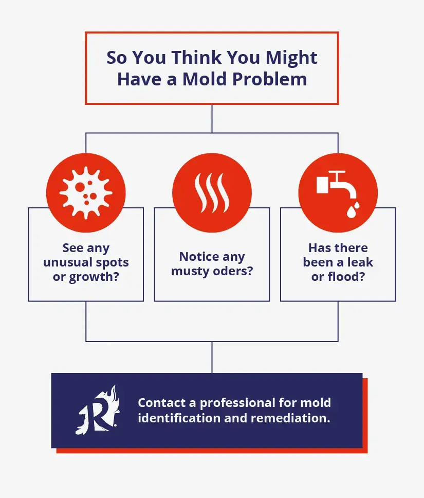 mold identification flow chart