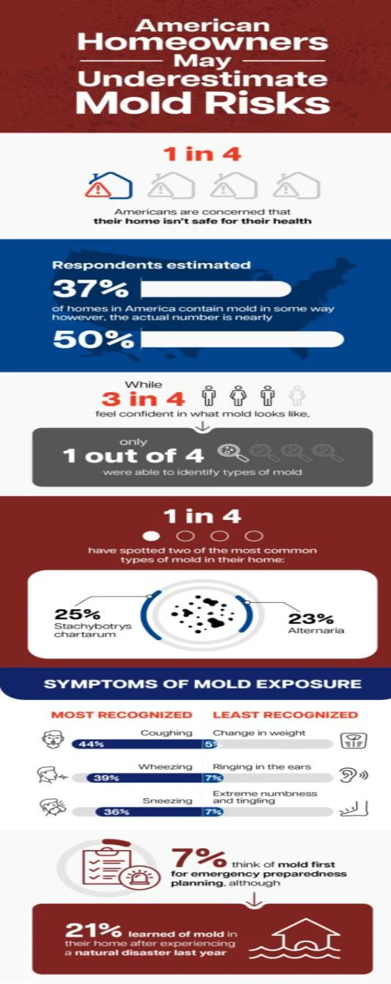 Most homeowners don’t recognize common types of mold in their homes. (infographic)