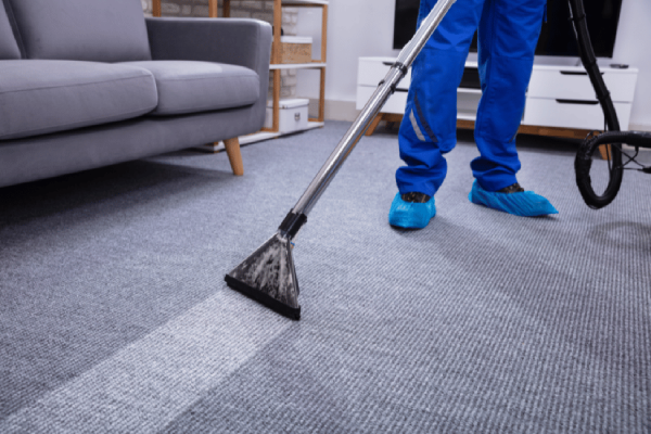 Professional cleaner using a carpet cleaning machine to deep clean a grey carpet in a living room, wearing blue protective shoe covers and uniform.