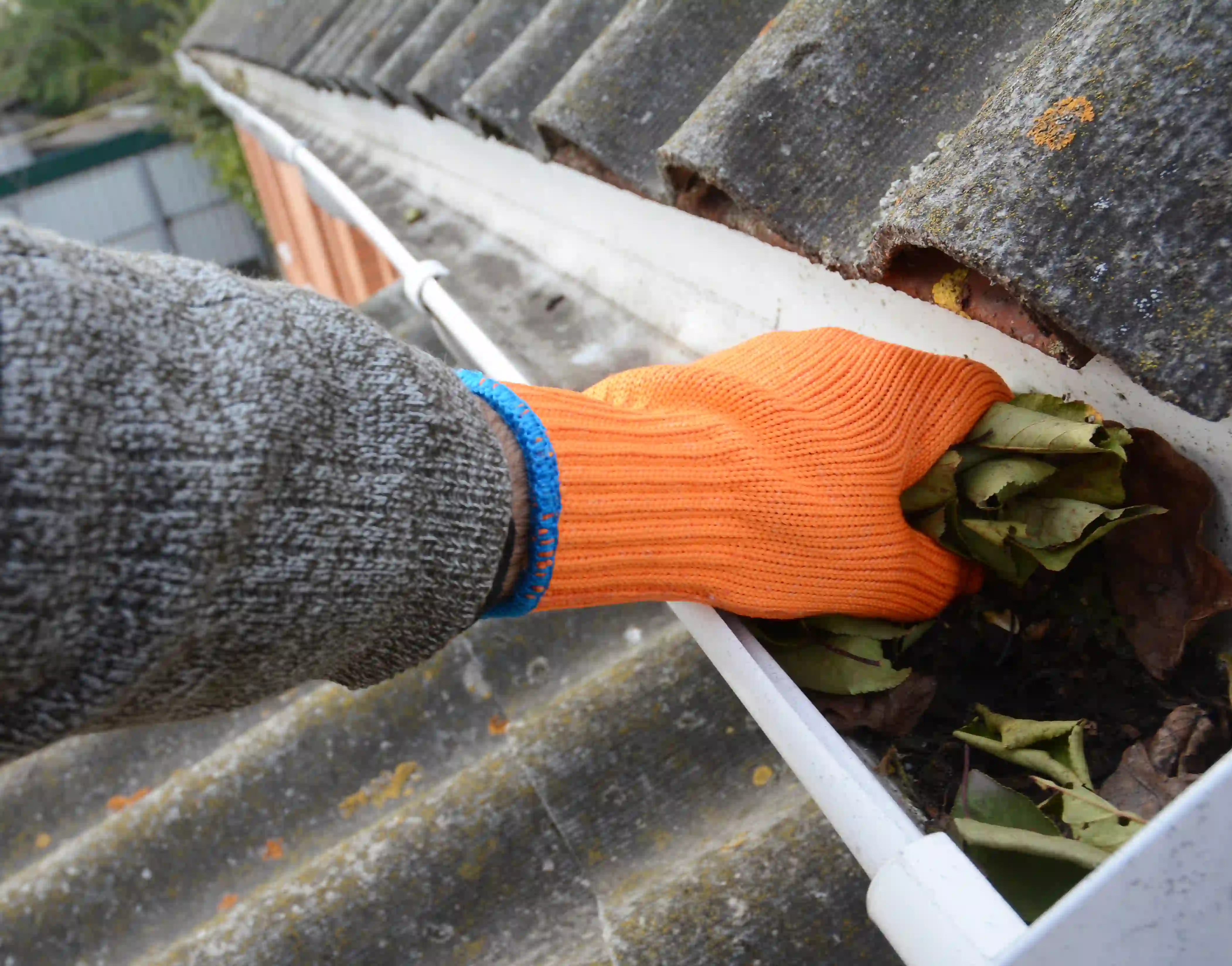 clean your gutters and downspouts.
