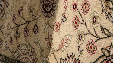 What is ultrasonic cleaning? A high-tech method of cleaning employed by out teams. Learn what can be cleaned and how ultrasonic cleaners work.