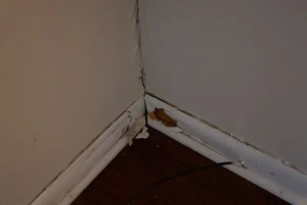 Close-up of a damaged interior wall corner showing signs of water damage. The baseboard is warped and discolored, with peeling paint and a visible crack where the walls meet. A small piece of debris and a cable are on the dark wood floor near the affected area.