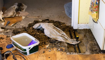 Damaged hardwood from flooding