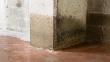 Water flooded basement.