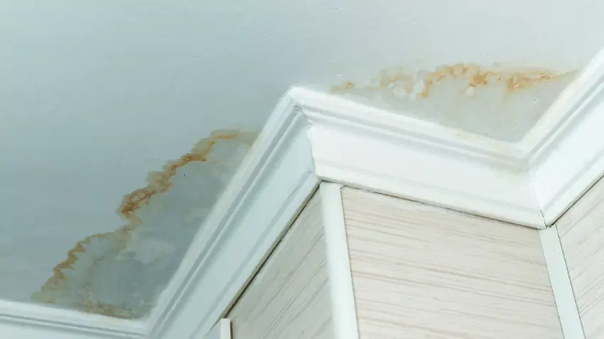 Water damage can look like stains on walls and ceilings, cracked or warped paint, and mold growth, among other signs.